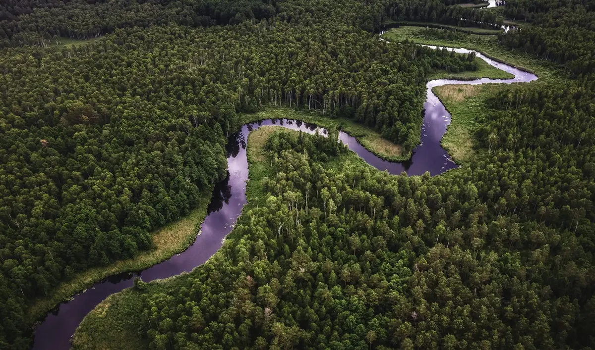 A river winding through dense green forest, seen from above