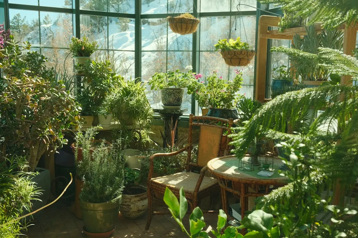 A greenhouse full of green plants