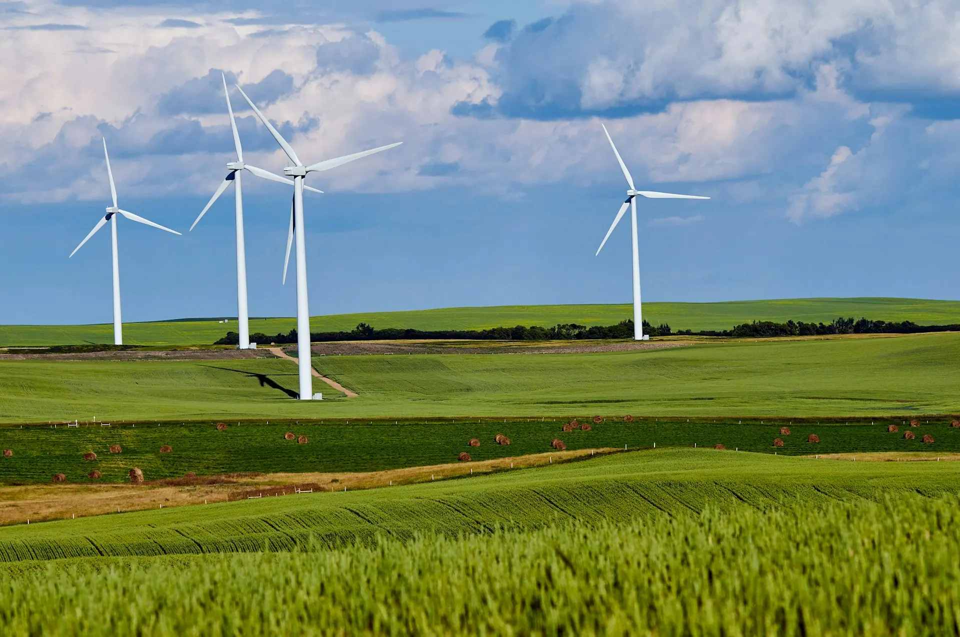 Wind turbines across green farmland under a bright sky